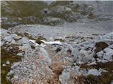 Rifugio Pederü - Piccola Croda Rossa / Kleine Gaisl